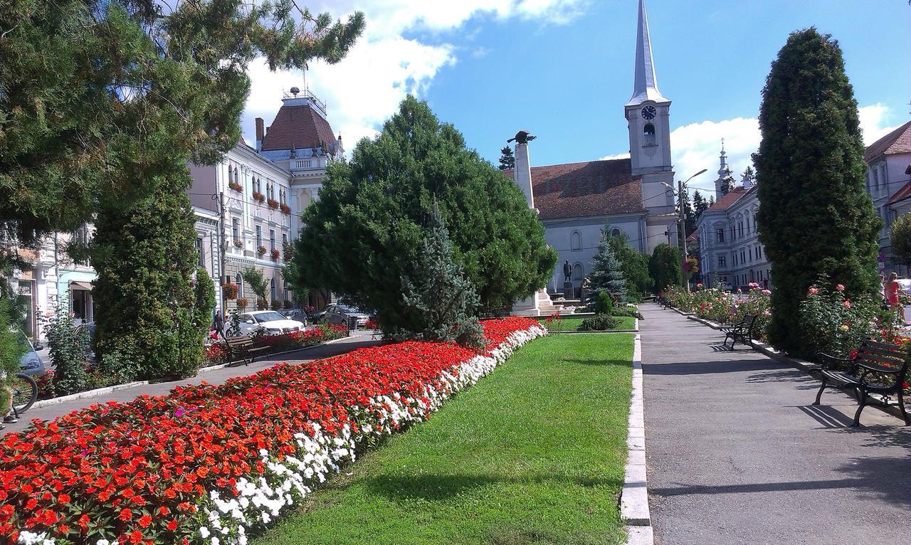 Korona Panzio Bed & Breakfast Odorheiu Secuiesc Exterior photo